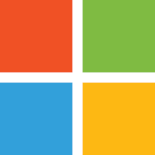 Microsoft Icon
